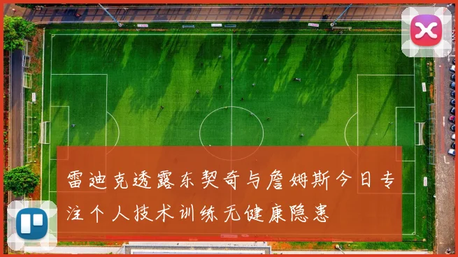 雷迪克透露东契奇与詹姆斯今日专注个人技术训练无健康隐患