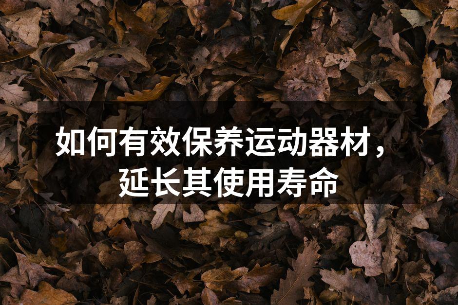 如何有效保养运动器材，延长其使用寿命