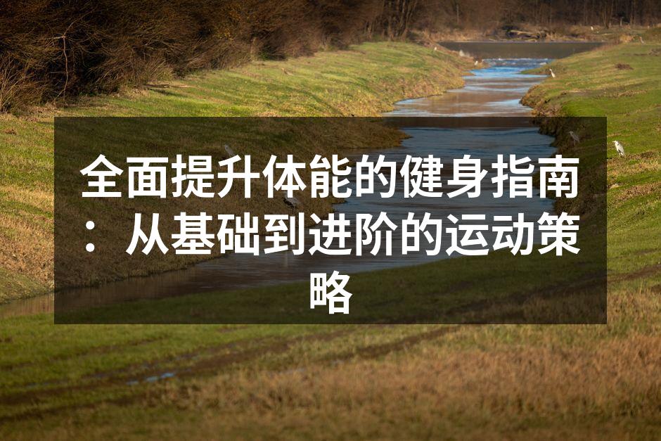 全面提升体能的健身指南：从基础到进阶的运动策略