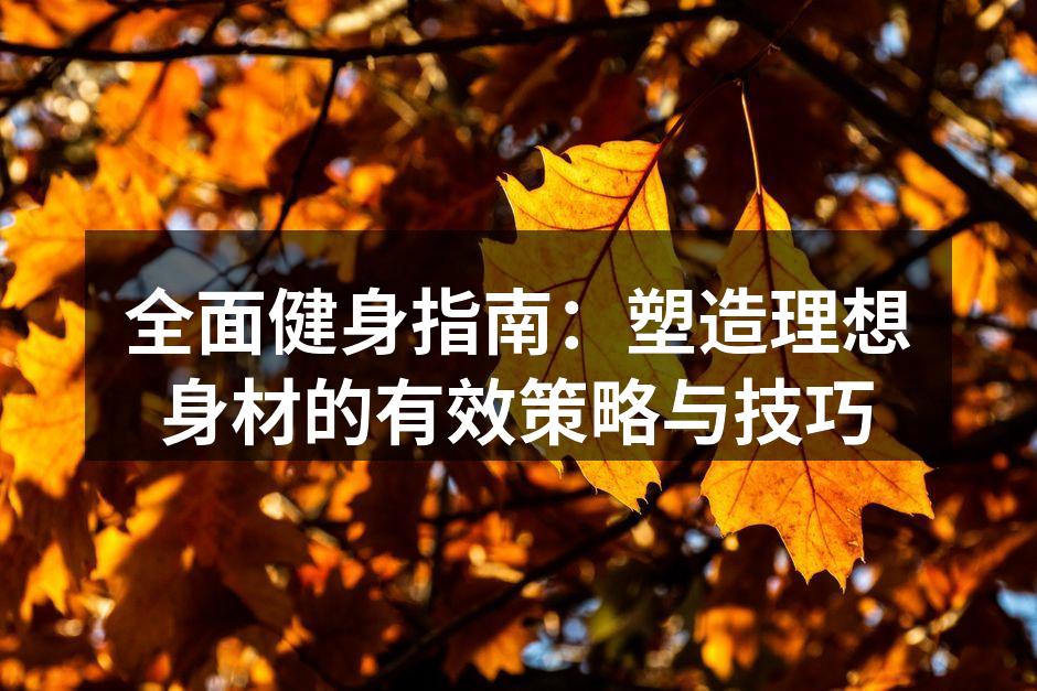 力量训练助你塑造完美身材